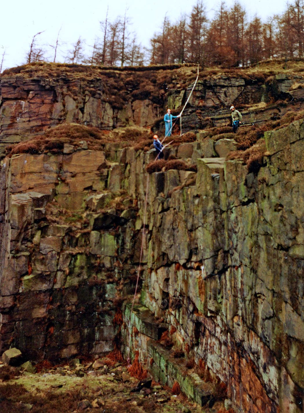 WEB-ABSEILING