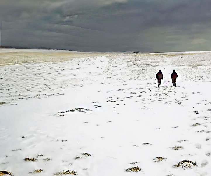 WEB-PPATROL-IN-SNOW