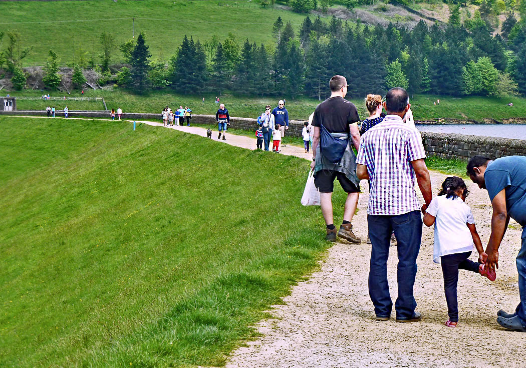 WEB-WALKERS-ON-DAM