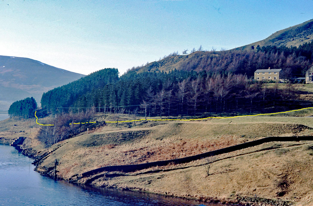 Binn-Green-houses-circa-1984