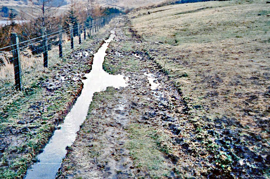 Muddy-path-Ashway-Gap-side