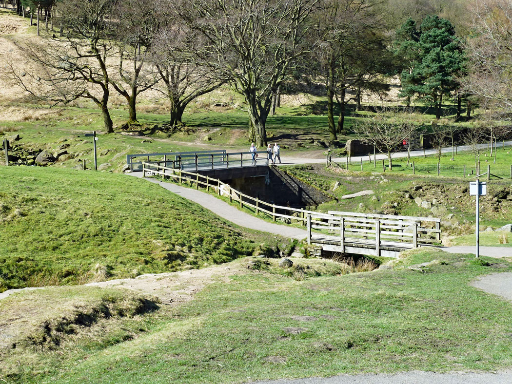 WEB-CHEW-BRIDGE-FOR-COMPARISON