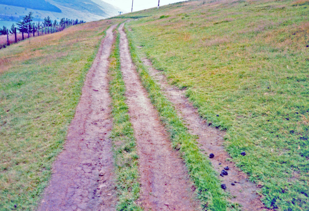 WEB-three-lane-pathway