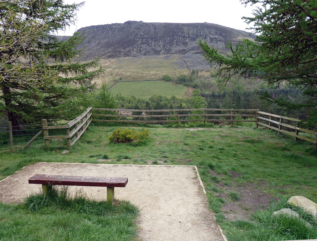 ZZZ-VIEWING-AREA-BINN-GREEN