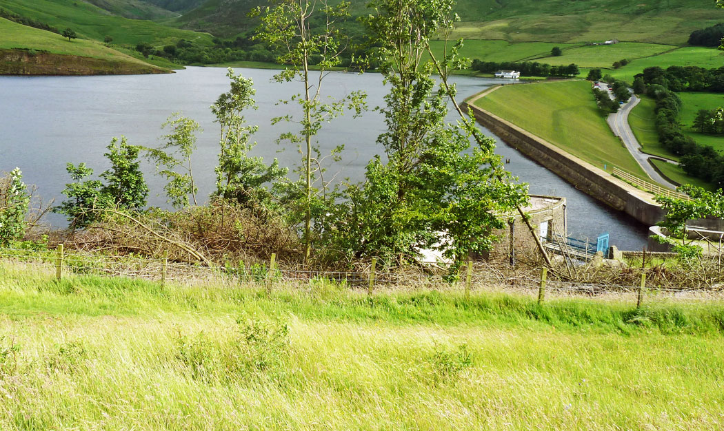 ZZZWWW-DOVESTONE-COMPARISON