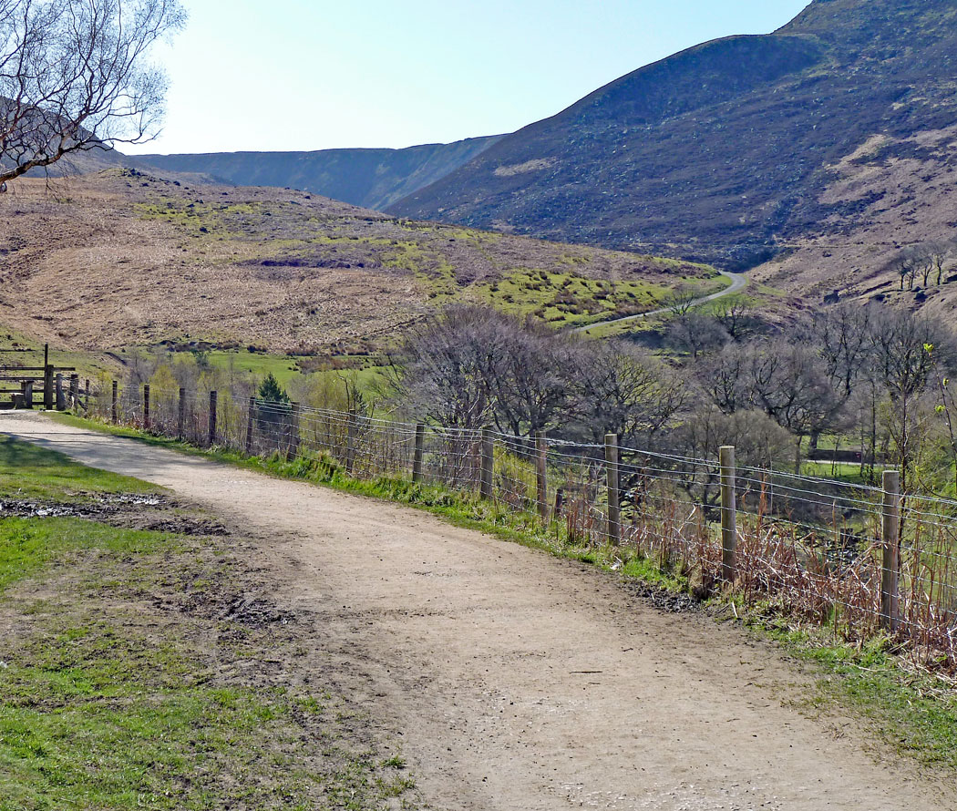 compare-looking-up-to-chew-road