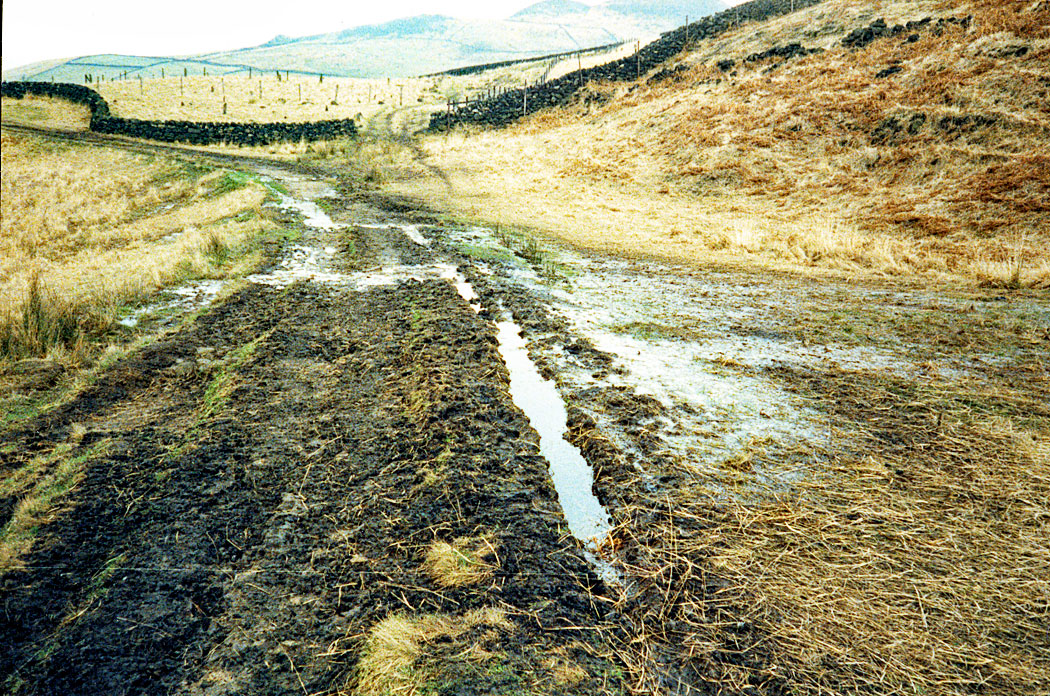 muddy-path-circa-1980s