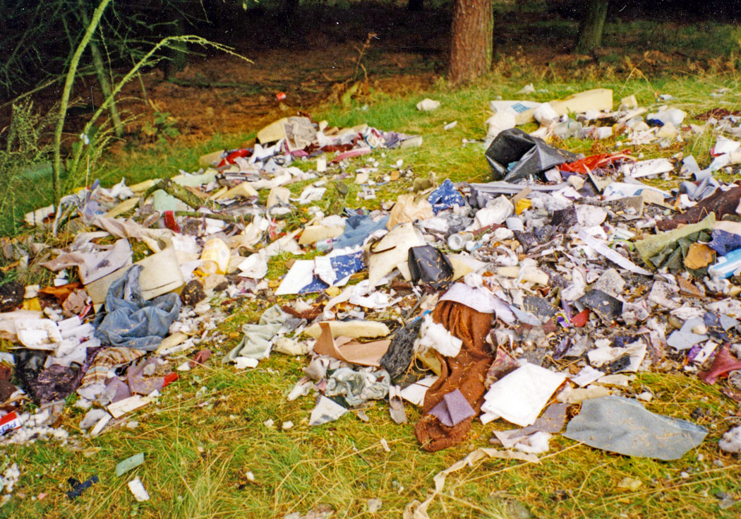 WEB---LITTER-DUMPED-IN-WOODS